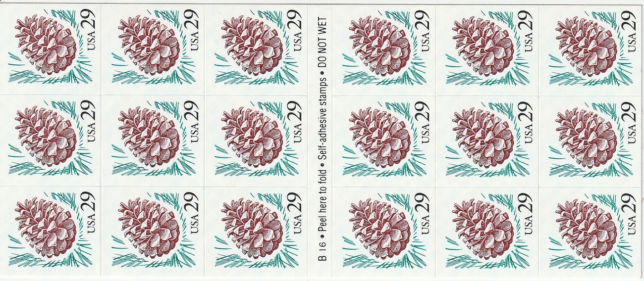 Pine Cone