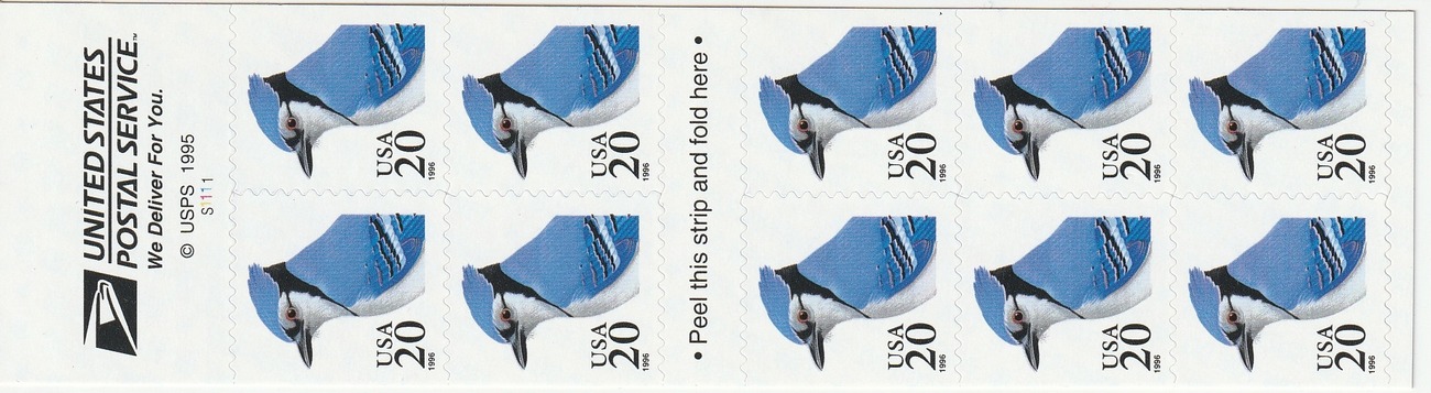 Blue Jay