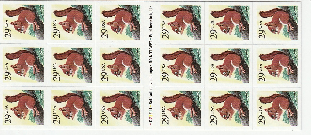 Red Squirrel