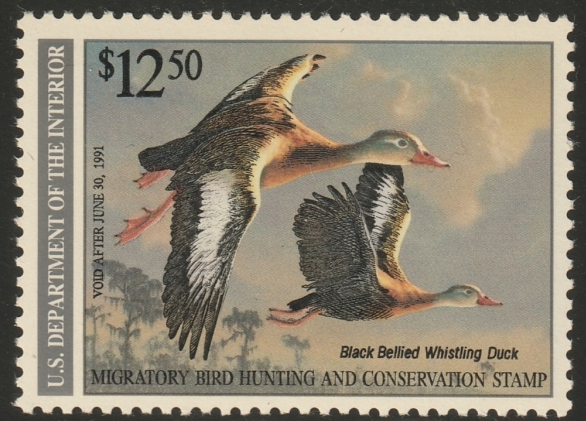 Federal Duck Stamp - Black Bellied Whistling Duck
