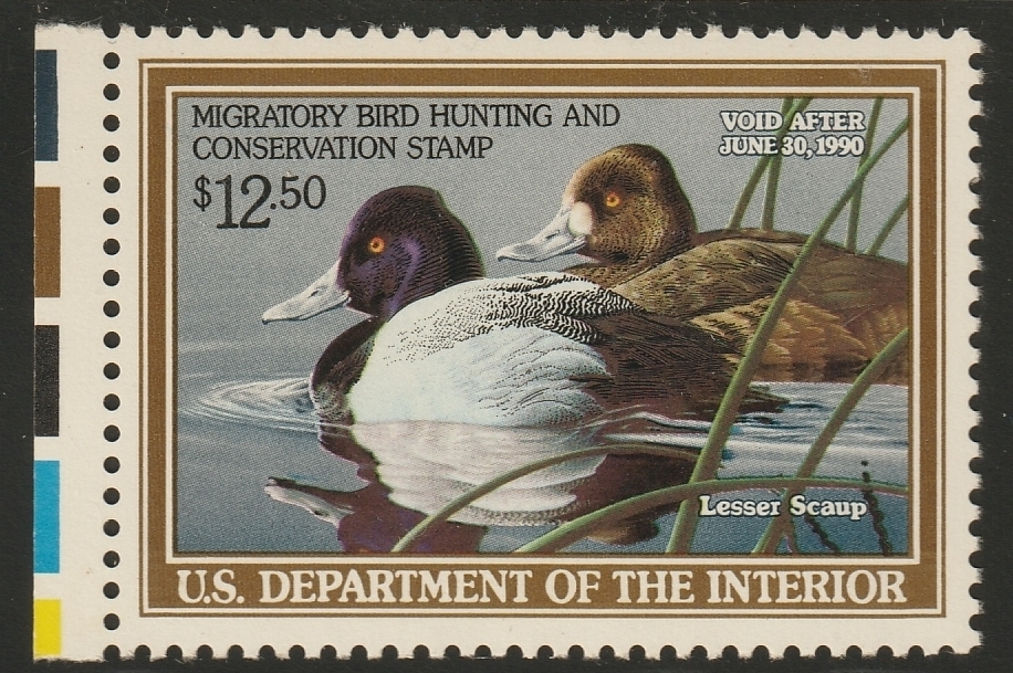 Federal Duck Stamp - Lesser Scaup