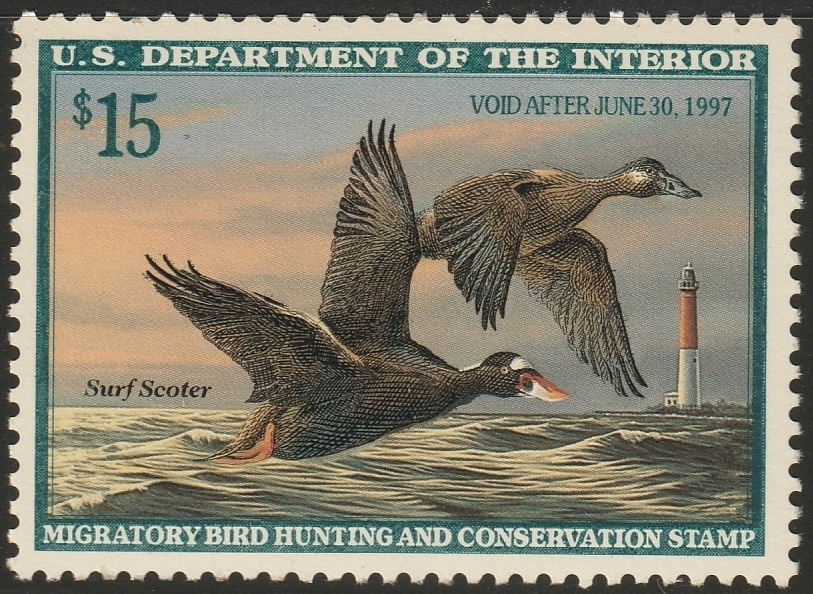 Federal Duck Stamp - Surf Scooter