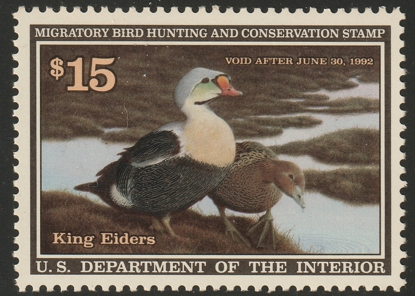 Federal Duck Stamp - King Eiders