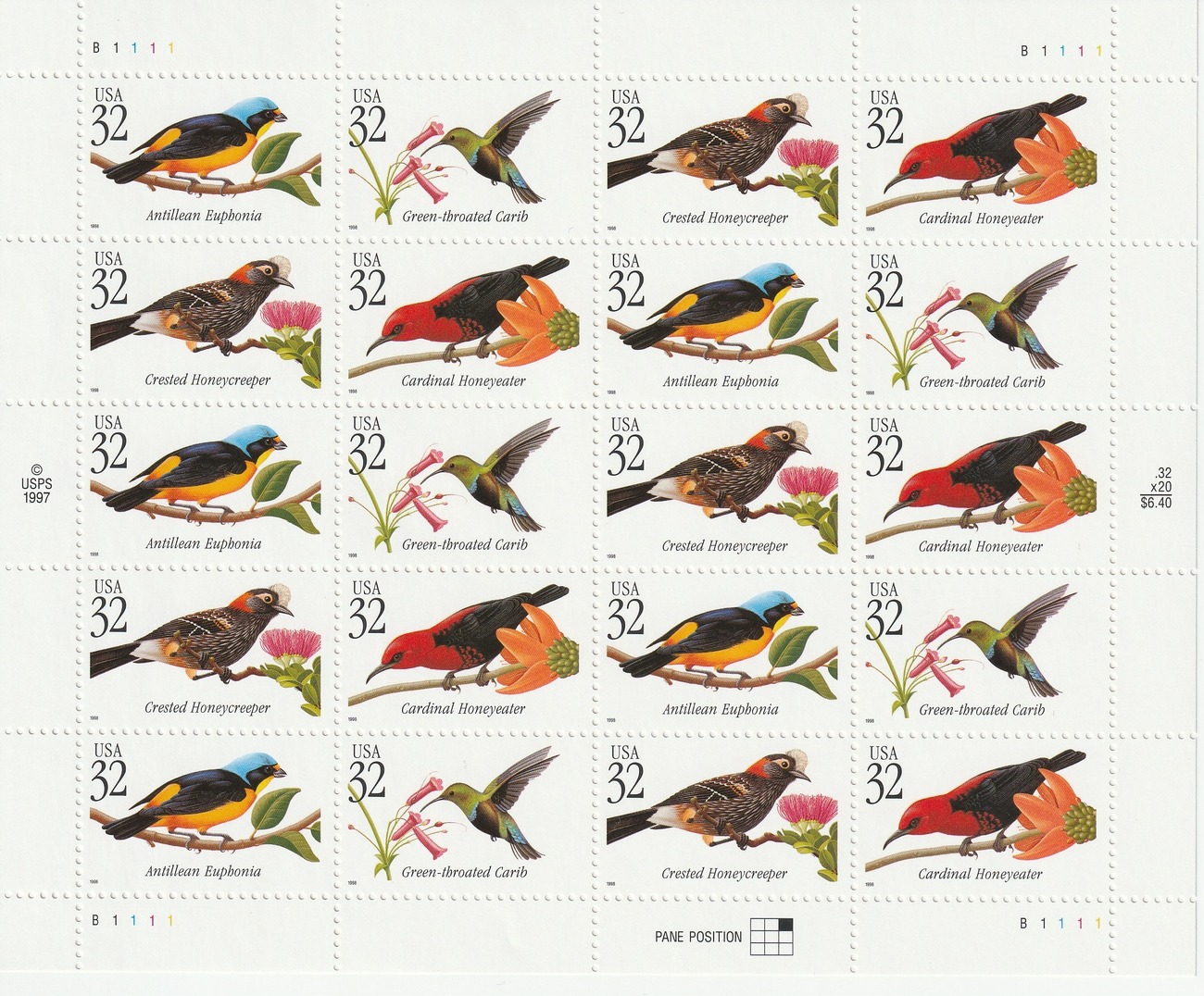 Tropical Birds