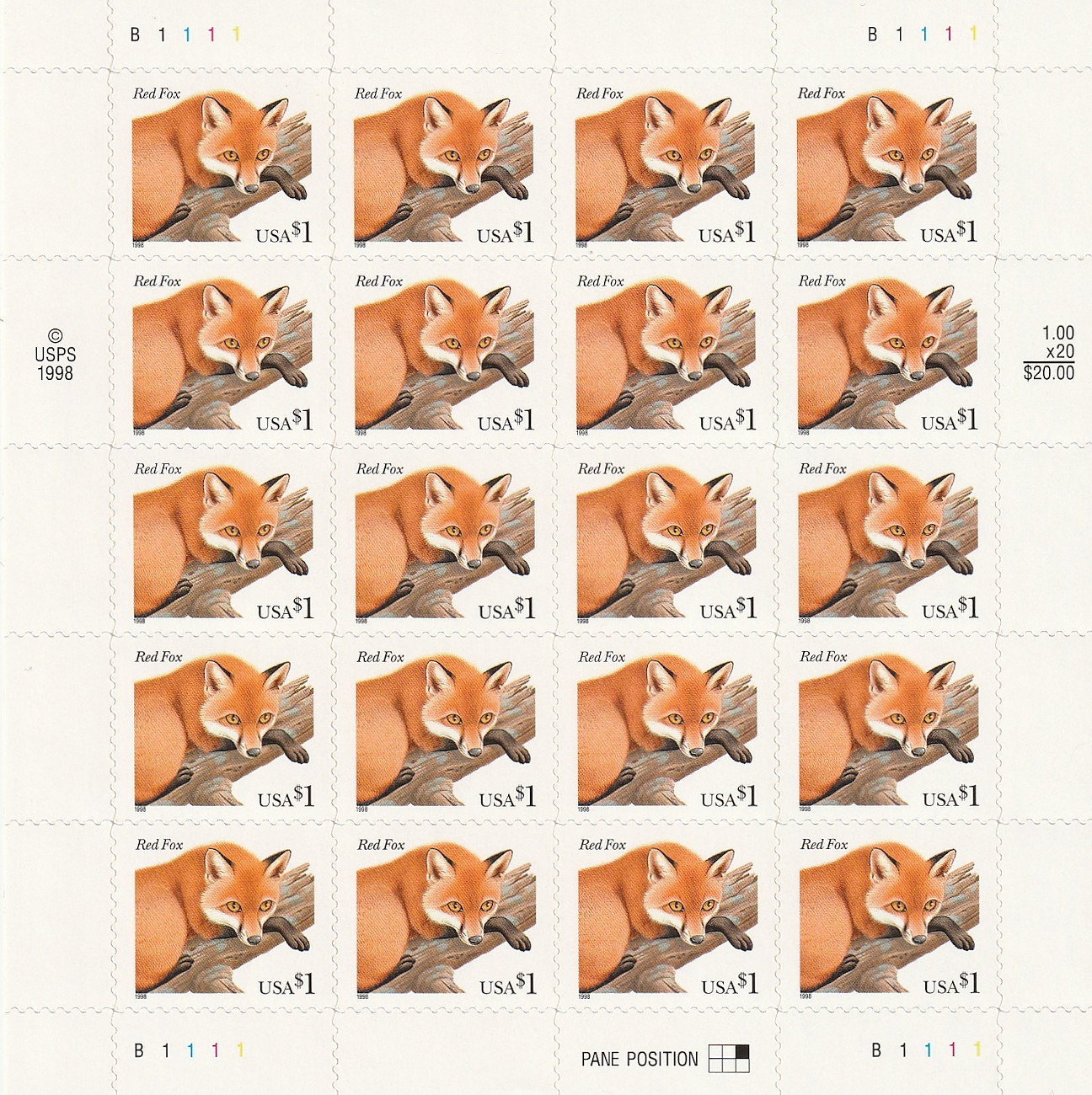 Red Fox